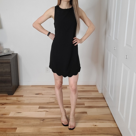 Monteau scallop base dress - Picture 4 of 11